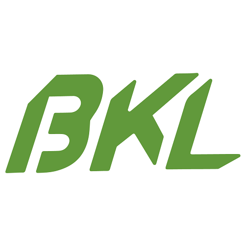 Bicicletas eléctricas BKL-Bikelecing